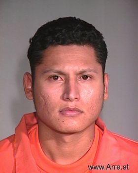 Jose  Villalobos-chavez Mugshot