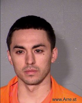 Jose O Villarreal Mugshot