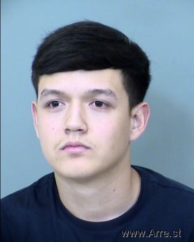 Joshua Fernando Golden Mugshot