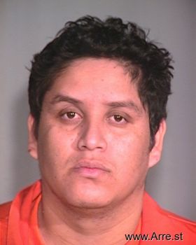 Juan C Rosales-hucochea Mugshot