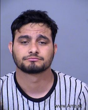 Juan Armando  Portillo Atondo Mugshot