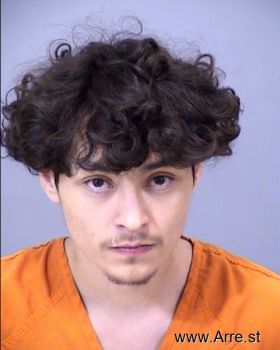 Julian  Torres Mugshot