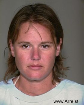 Julie D Hollibaugh Mugshot