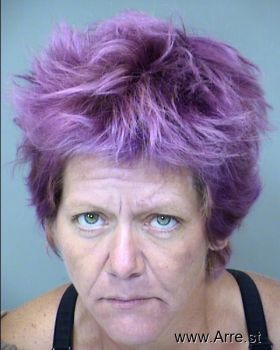 Julie Marie Little Mugshot