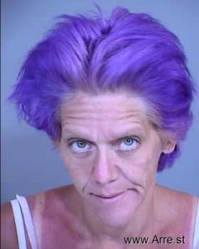 Julie Marie Little Mugshot