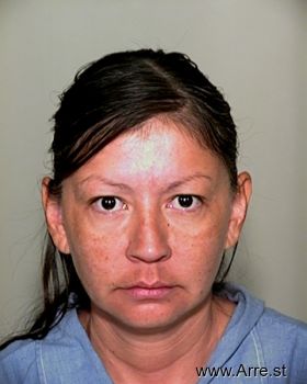 Julie E Perez Mugshot