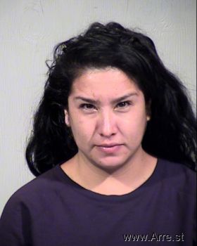 Julie Frabrie Romero Mugshot