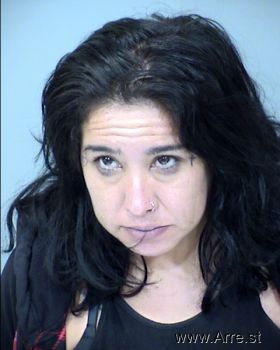 Julie  Romero Mugshot