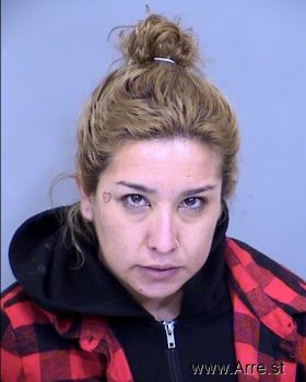 Julie Ann Fabrie Romero Mugshot