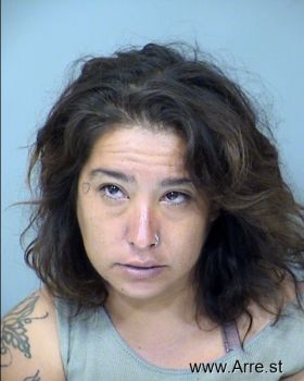 Julie Ann Romero Mugshot