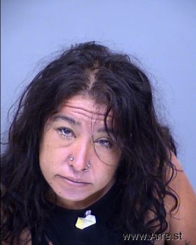 Julie Ann Fabrie Romero Mugshot