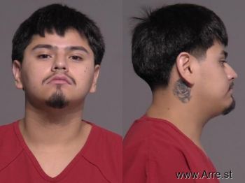 Julio Cesar Briones-lopez Mugshot