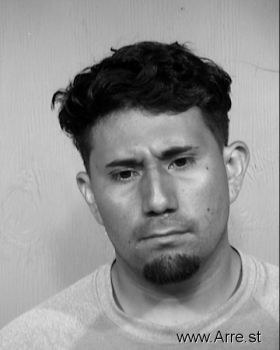 Julio  Chavez-flores Mugshot