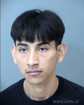 Justin Adonis Cruz Mejia Mugshot