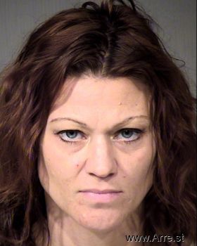 Katie Marie Brereton Wesolek Mugshot