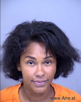 Karen Demtres Owens Mugshot