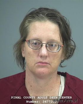 Karen  Williams Mugshot