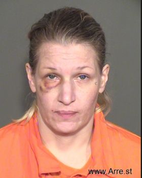 Kathy J Anderson Mugshot