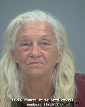 Kathy  Dildine Mugshot