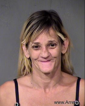 Lisa Diane Wilson Mugshot