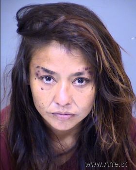 Lajuanna  Wilson Mugshot