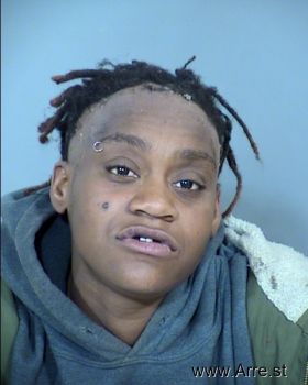 Lasadie  Amerson Mugshot