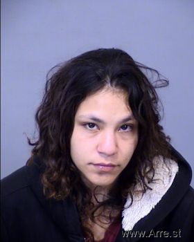 Laura Angelica Castro Sanudo Mugshot