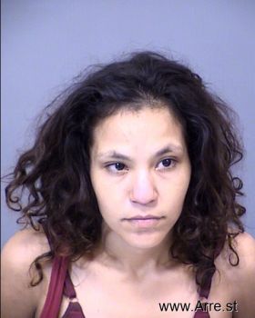 Laura Angelica Castro Sanudo Mugshot