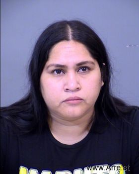 Laura  Torres Barraza Mugshot