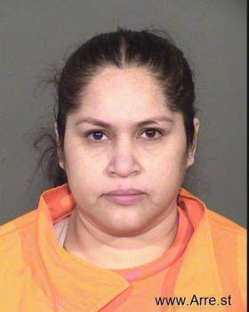 Laura  Torres Barraza Mugshot