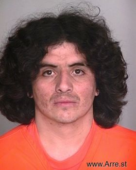 Leonardo C Torres Mugshot