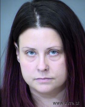 Lindsey Paige Williams Mugshot