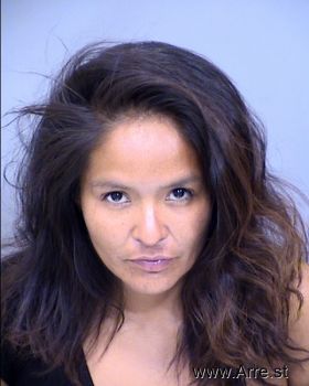 Lisa Marie Johnson Mugshot