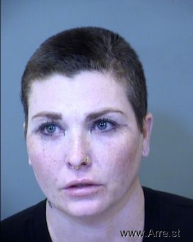 Lisa Marie Jones Mugshot