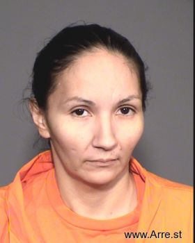 Lisa M Martinez Mugshot