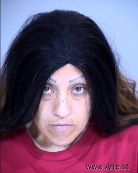 Lisa Ann Ruiz Mugshot