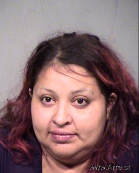 Lisa  Torres Mugshot