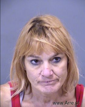 Lori Ann Gibbs Mugshot