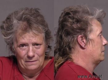 Lori Lynn Johnson Mugshot