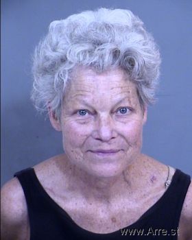 Lori J White Mugshot