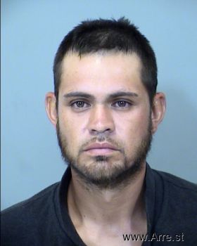 Luis  Anaya-alvarado Mugshot