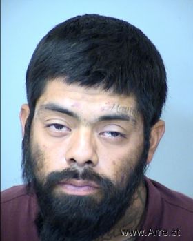 Luis Gregory Chavez Mugshot