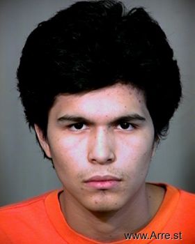 Luis  Chavez Mugshot