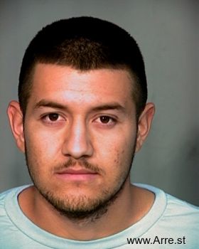 Luis E Chavez-palomares Mugshot