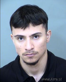 Luis Jesus Chavez Silva Mugshot