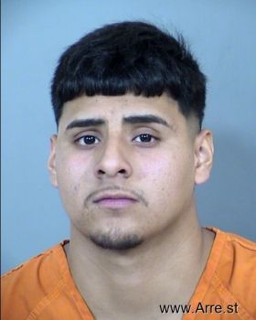 Luis Enrique Delgado Mugshot