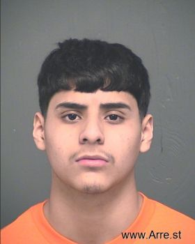 Luis  Delgado Mugshot