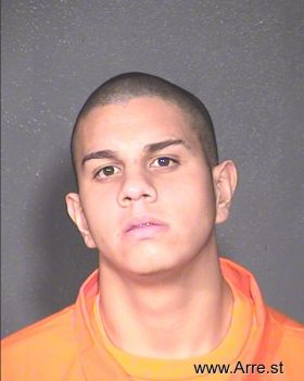 Luis A Dominguez-martinez Mugshot