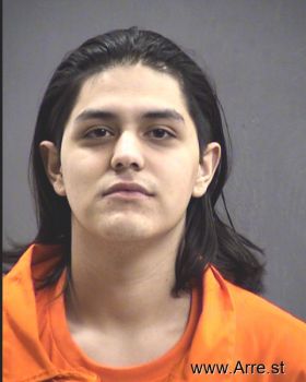 Luis C. Duran Mugshot