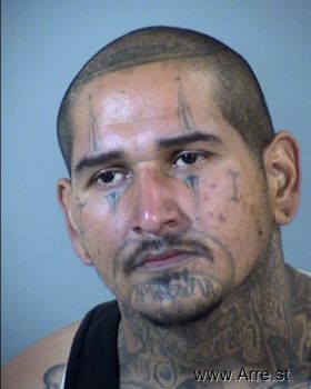 Luis E Gonzales Mugshot